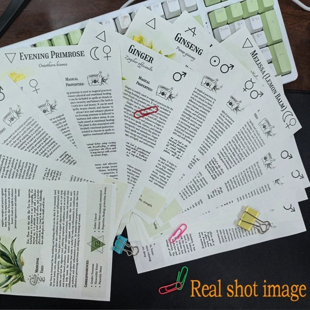 Libro di ricette per tinture:  - Herbal Wellness Guide recensione e prezzo